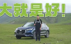 ao全称和中文意思