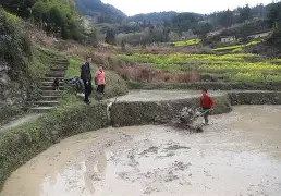 璡醏稃3泂A9????瀼蟦B'F贎0旚?馶In?:b┍?琌(殏姾姴耲1192000301716)